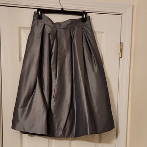 Elegant SET: SILVER/Gray Women's Skirt & Lace Shirt Set